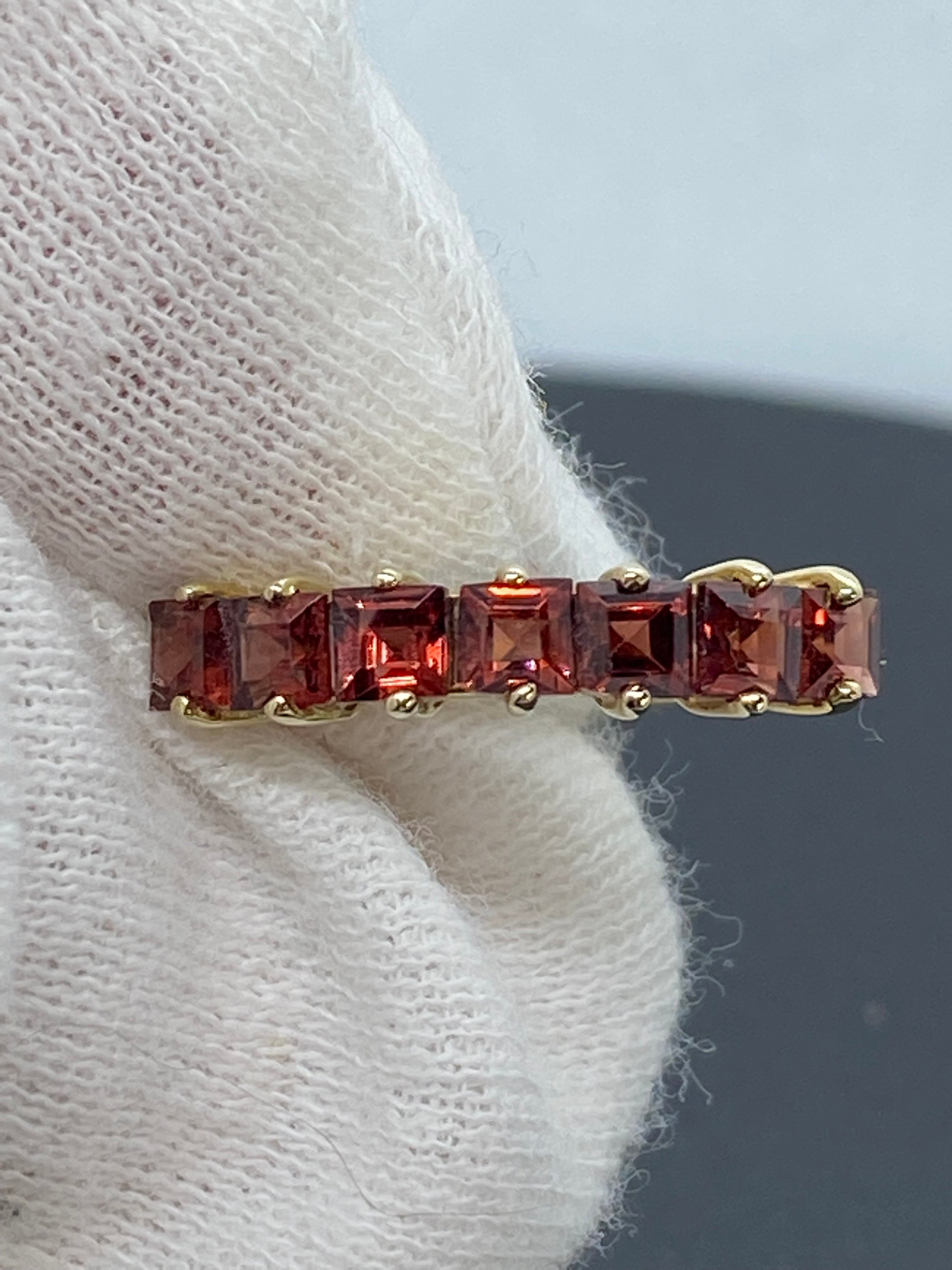 Garnet band 2025